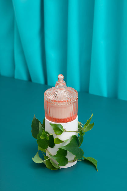 Heirloom Honey Pot Candle Glow - Sparkling Rose